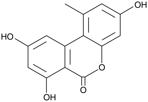 Alternariol