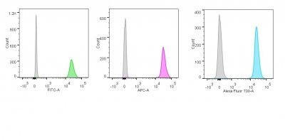p55,50 EBV-Early Antigen(1108-1), CF640R conjugate, 0.1mg/mL