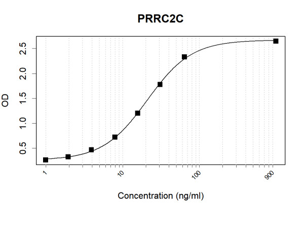 Anti-Human PRRC2C Antibody Pair