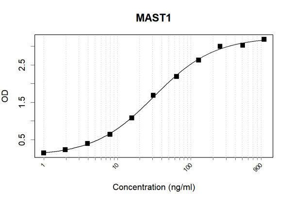 Anti-Human MAST1 Antibody Pair