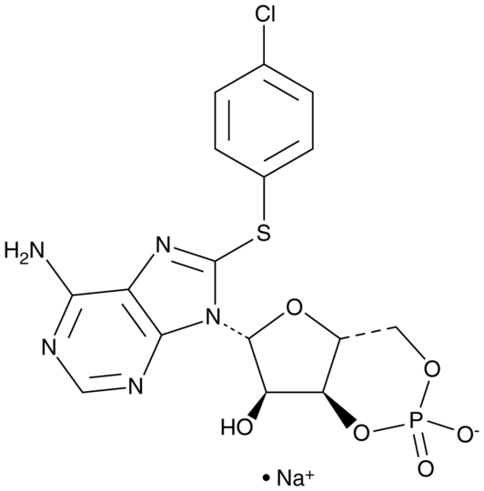8-CPT-Cyclic AMP (sodium salt)