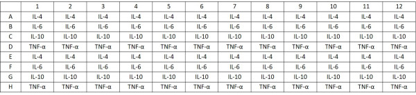 arigoPLEX(R) Rat M1/M2 Cytokine Multiplex ELISA Kit (IL4, IL6, IL10, TNF alpha)