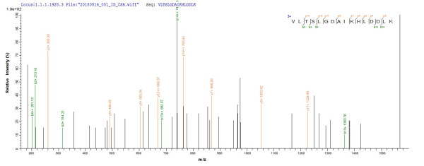 Hemoglobin subunit gamma-2 (HBG2), human, recombinant