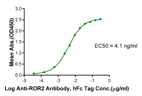 ROR2/NTRKR2, His &amp; Avi, Human