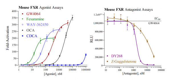 FXR (mouse) Reporter Assay Kit