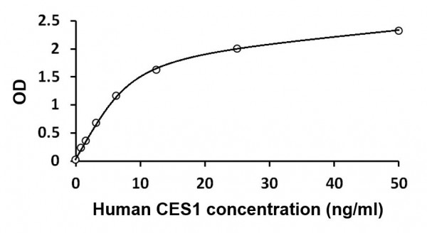 Human CES1 ELISA Kit