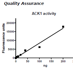 ACK1, active human recombinant protein