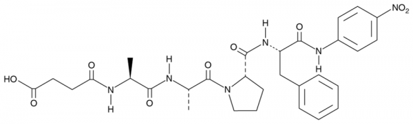 Suc-AAPF-pNA