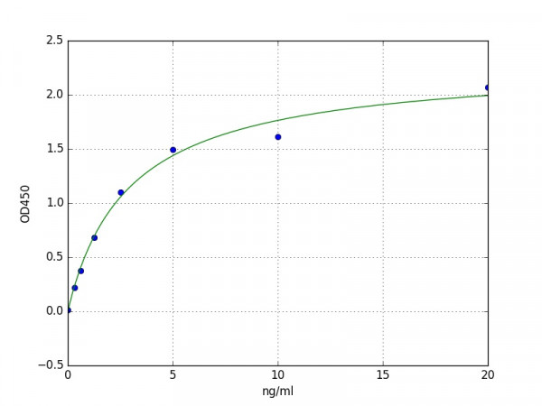 Human DUSP9 / MKP4 ELISA Kit