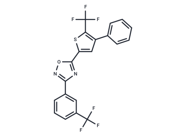 SEW2871
