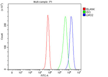 Anti-LMO2 / Rhombotin 2
