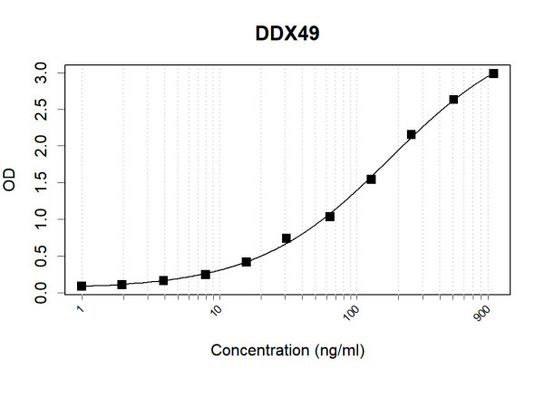 Anti-Human DDX49 Antibody Pair