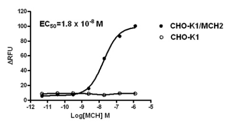 CHO-K1/MCH2 Stable Cell Line