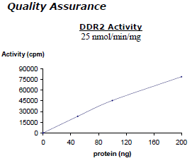 DDR2, active human recombinant protein