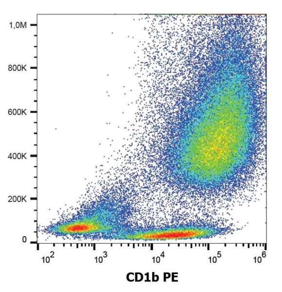 Anti-CD1b (PE), clone SN13