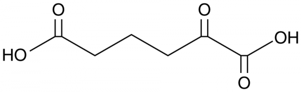 2-Oxoadipic Acid