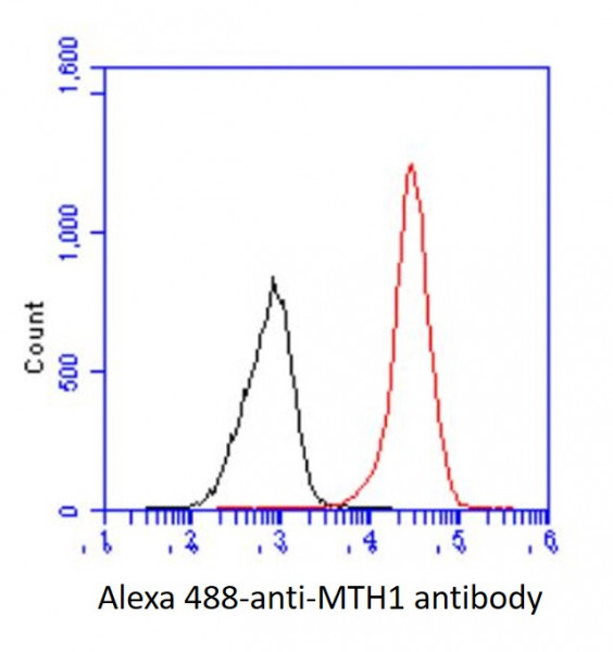 Anti-MTH1, clone 3B3