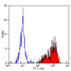 Anti-CD29 / Integrin beta 1, clone 12G10