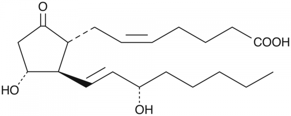 Prostaglandin E2