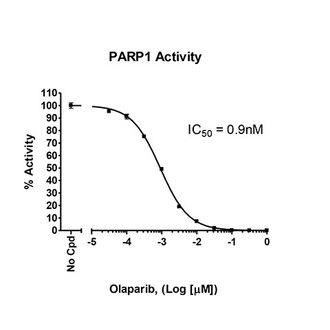 PARP1 Colorimetric Assay Kit