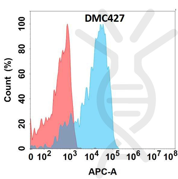 Anti-GP6 antibody(DMC427), IgG1 Chimeric mAb