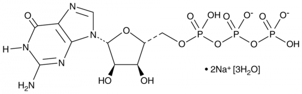 Guanosine 5&#039;-triphosphate (sodium salt hydrate)