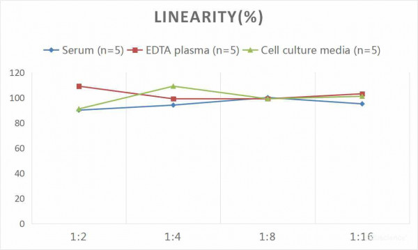 Mouse GDNF (Glial Cell Line Derived Neurotrophic Factor) CLIA Kit