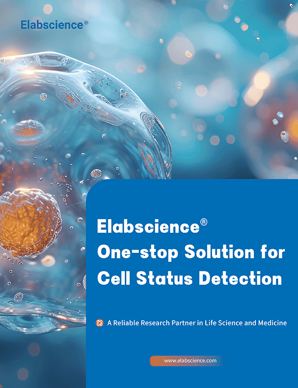 Elabscience Portfolio Introduction