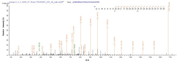 Protein A33 (VACWR156), partial, Vaccinia virus, recombinant
