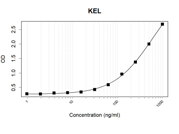 Anti-Human KEL Antibody Pair