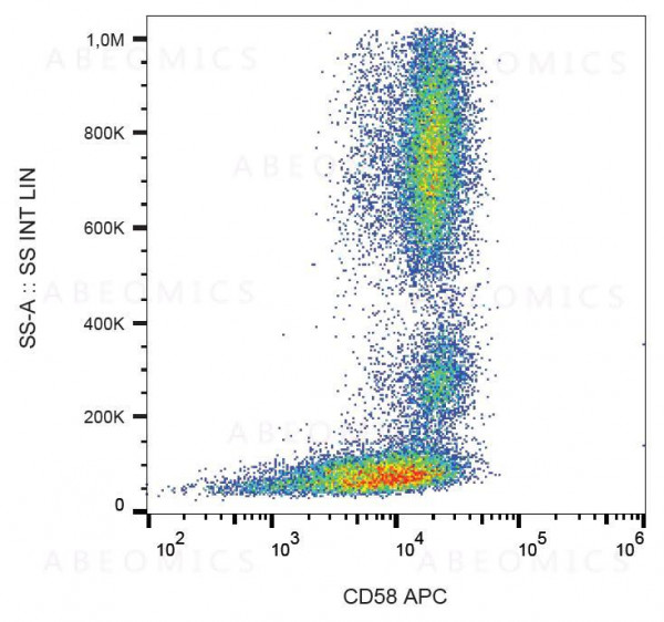 Anti-CD58 / LFA-3 Monoclonal Antibody (Clone:MEM-63)-APC Conjugated