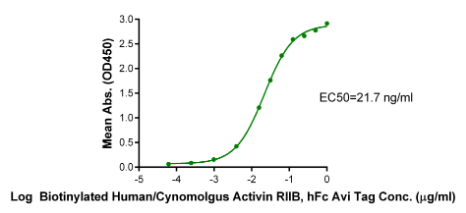 Activin RIIB/ACVR2B hFc Chimera[Biotin], Avi, Human/Cynomolgus