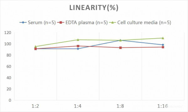 Mouse IgM (Immunoglobulin M) CLIA Kit
