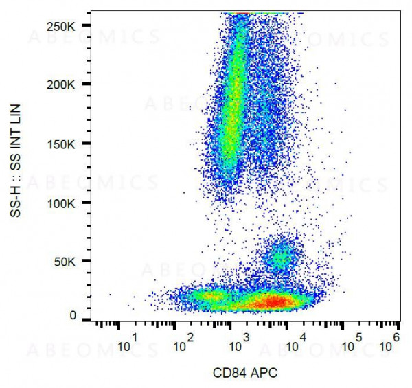 Anti-CD84 Monoclonal Antibody (Clone:CD84.1.21)-APC Conjugated