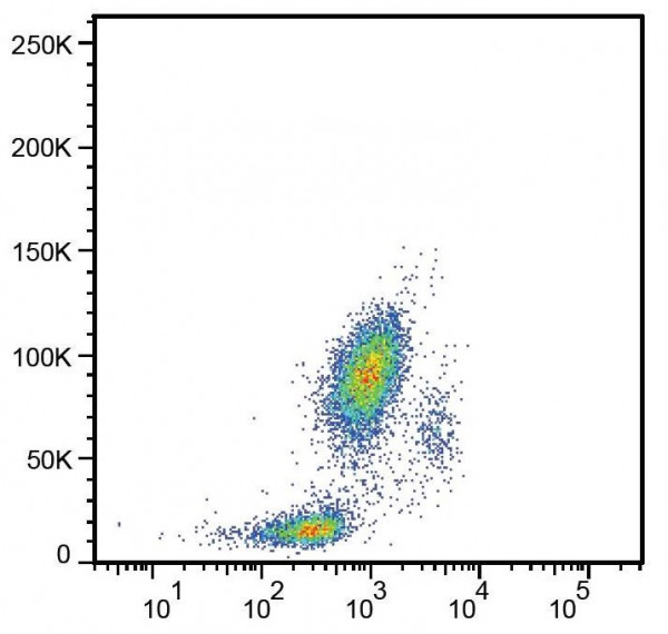 Anti-CD33, clone HIM3-4
