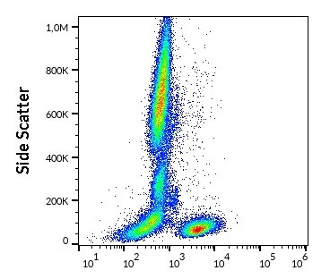 Anti-CD28, clone CD28.2 (FITC)