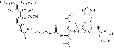 FITC-C6-LEHD-FMK