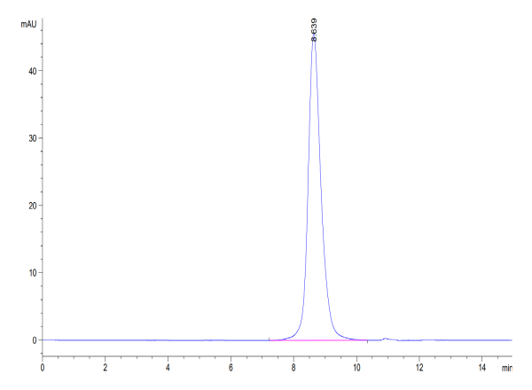 Cynomolgus B7-H6/NCR3LG1 Protein