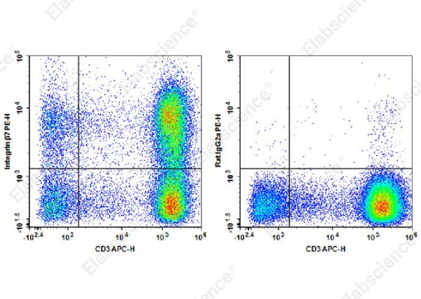 PE Anti-Human/Mouse Integrin beta7 Antibody[FIB21]