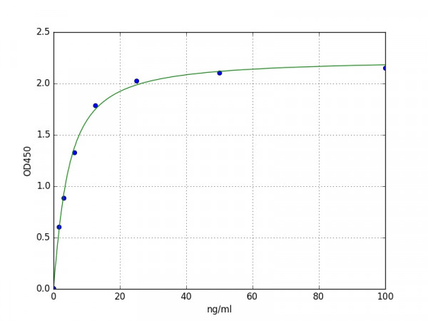 Human ABP1 / AOC1 ELISA Kit