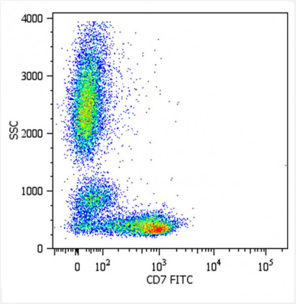 Anti-CD7, clone MEM-186 (FITC)