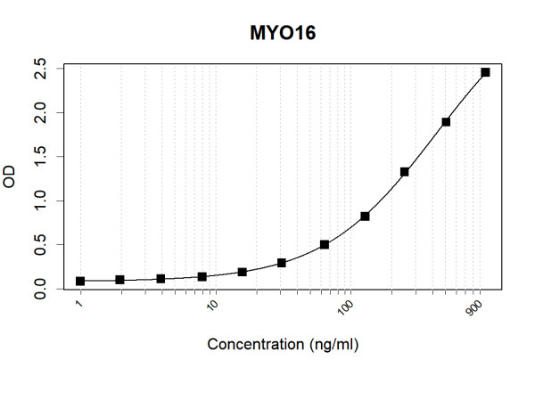 Anti-Human MYO16 Antibody Pair