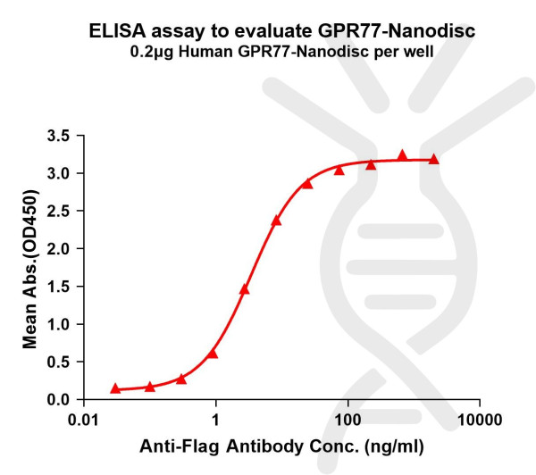 GPR77 (human) full length protein-synthetic nanodisc
