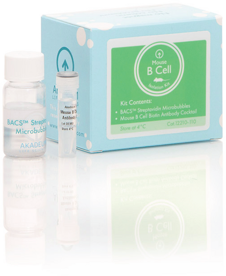 Mouse B Cell Isolation Kit