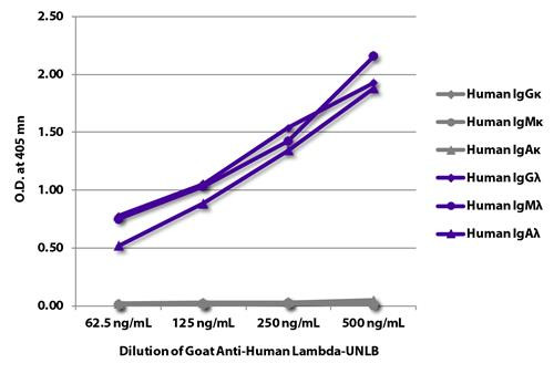 Anti-Human Lambda Light Chain antibody, pre-adsorbed [Goat]