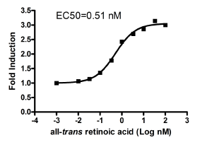 RARgamma Reporter (Luc)-HEK293 Cell Line (ca.2x10(6) cells)