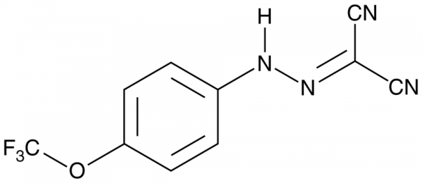 FCCP