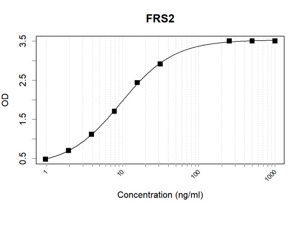 Anti-Human FRS2 Antibody Pair