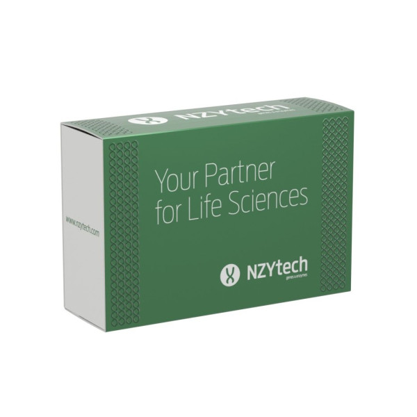 Supreme NZY Reverse Transcriptase 200 U/µL