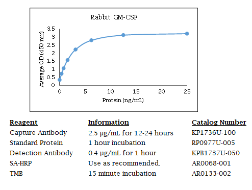 Anti-GM-CSF (rabbit)
